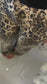 Strass Leo Jeans